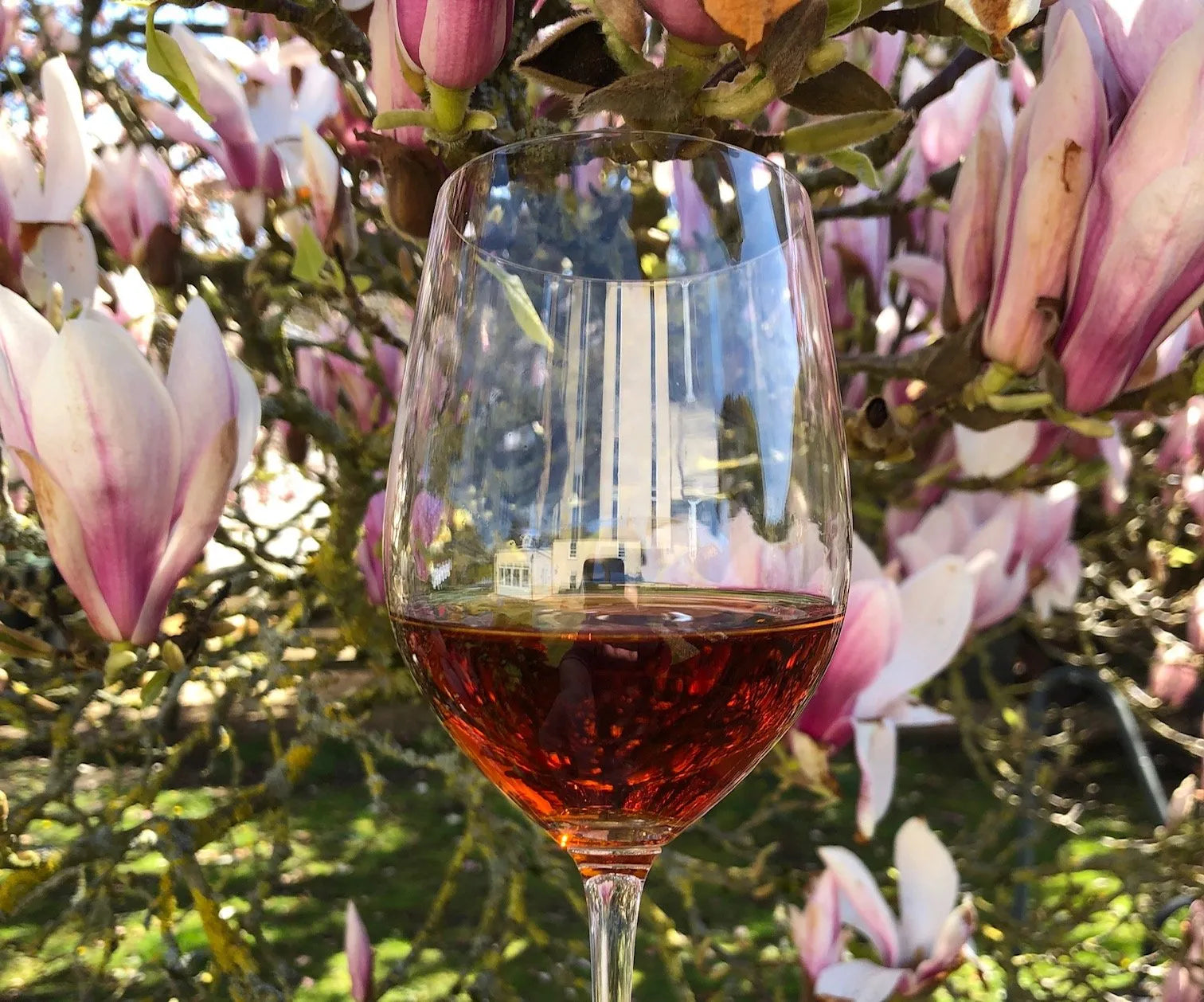 Georgia's Amber Jewel